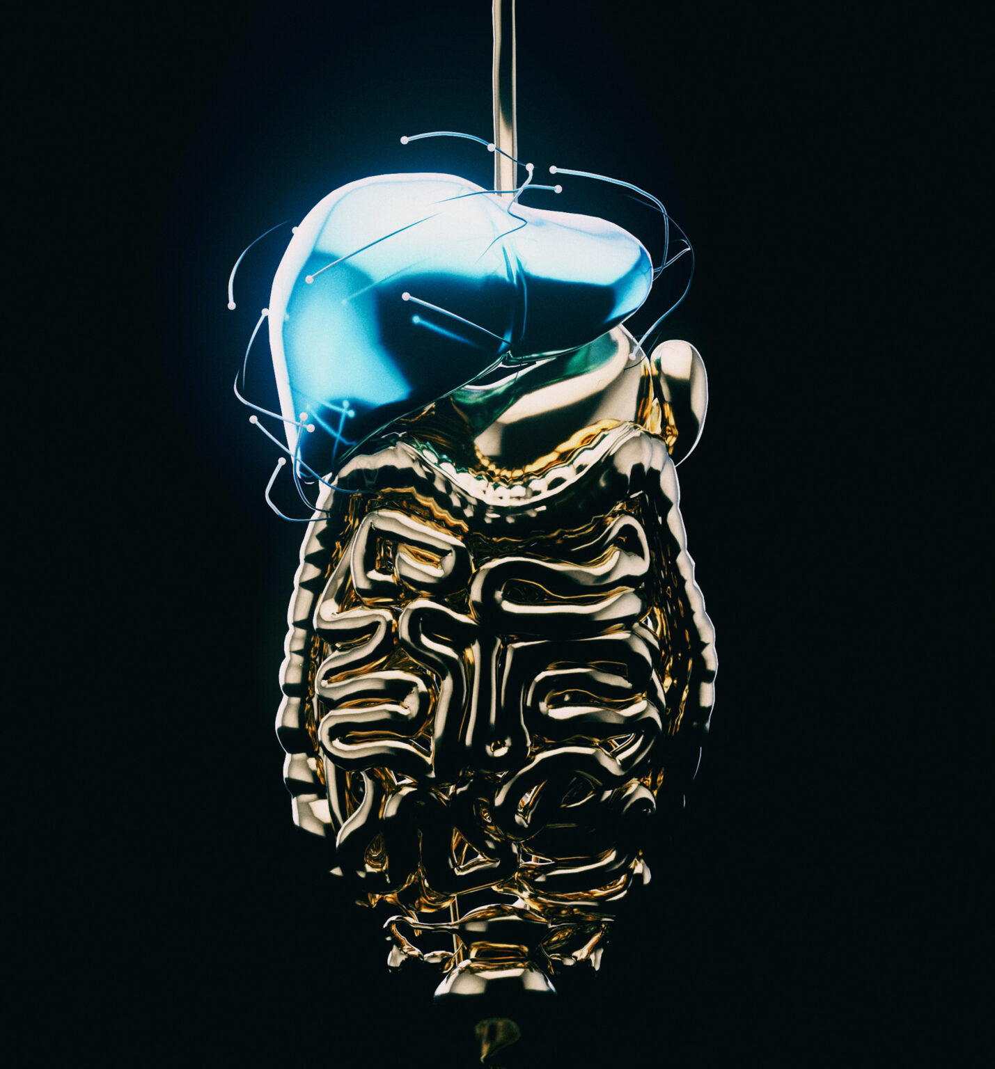 SIBO i IBS – różnicowanie i nowoczesne podejście dietetyczne